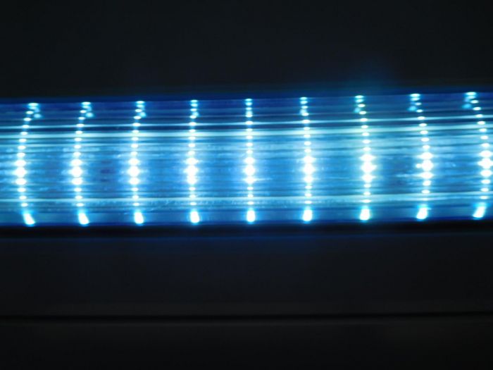 Bat Bus Aisle Lights LED Retrofit
One of the LED retrofits has different LEDs instead of LED tube retrofits for fluorescent sockets.
