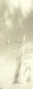 Filename=20180730_135922.jpg
Filesize=882KiB
Dimensions=824x2200
Date added=Nov 01, 2018 20180730_135922.jpg