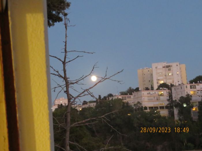 Full moon at rising from my room at my father home
[img]https://i.postimg.cc/Ssnc9Tfm/IMG-7318.jpg[/img]
In reality, the moon was much larger than how it looking in the pictures because of [url=https://en.wikipedia.org/wiki/Moon_illusion] moon illusion [/url].
