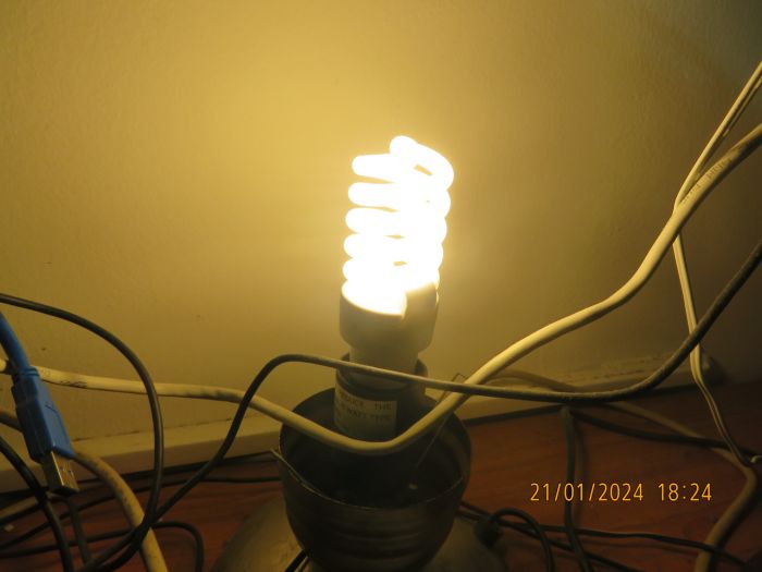 My Semicom (Hyundai) Eco T2 2700K 15W helical CFL in work
As it don't have a PTC controlled preheating, it should work in brownouts.
It have a good color quality and a yellowish white color.
