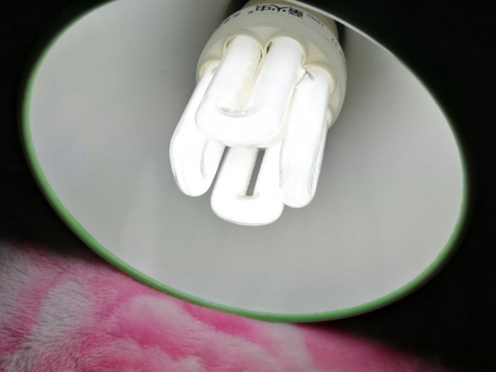 Firefly 4U 9W short CFL
中文：个头很矮，价格也很便宜，但是它是为数不多的单价10元以下且采用三基色荧光粉的节能灯
English：It is very short and the price is also very cheap, but it is one of the few energy-saving lamps with a unit price of less than 10 yuan and a three-color phosphor
