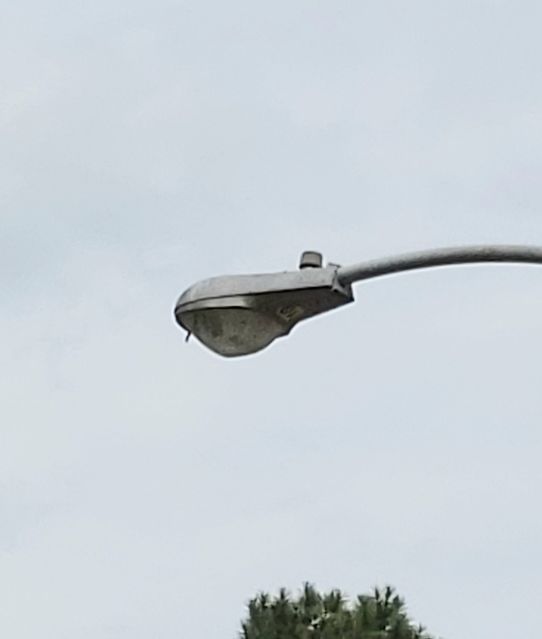 AEL 115 100w HPS streetlight
Picture taken yesterday.

A close up of this fixture, near by the Cy-Fair vet hospital.
Keywords: American_Streetlights