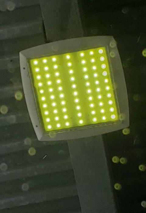 Greened out LED canopy fixture
Picture taken on May 26, 2019

At a car wash.
Keywords: Lit_Lighting