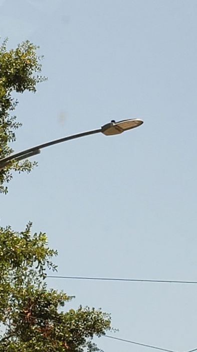 Trastar Duralight DURA-ST Series LED streetlight 
At a intersection.
Keywords: American_Streetlights