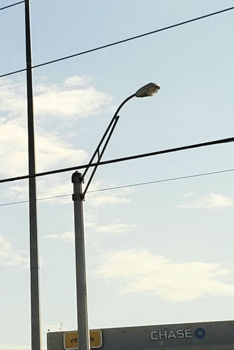 Cooper Lighting/Crouse Hinds OVS
Picture taken on August 17, 2019 

At a intersection.
Keywords: American_Streetlights