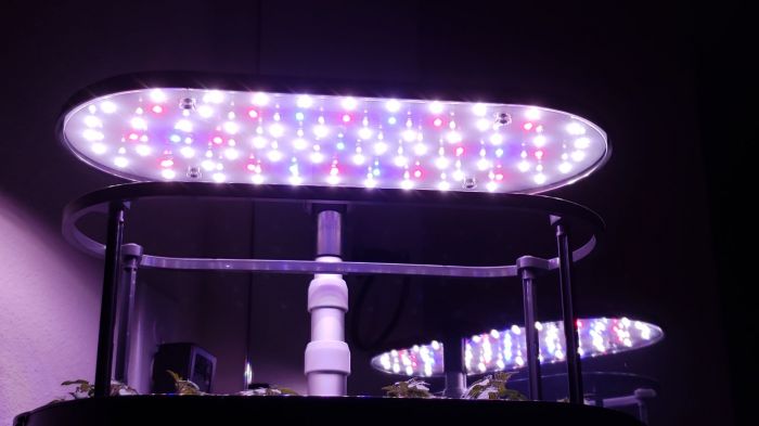 LED plant light
My brother is doing gardening and he has this hydroponics gardening system that has a full spectrum LED plant light. Which has blue, red, and white LEDs. It runs 16 hours a day.

As you can see, the tomato plants are growing.
Keywords: Lit_Lighting
