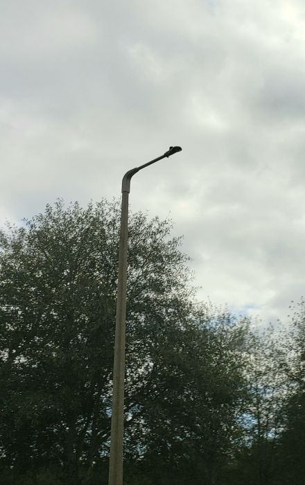 Cree RUL LED streetlight
At a neighborhood. Damn, look how tiny this thing is! XD 

Plus they are using these as spot replacements for the HID streetlights.
Keywords: American_Streetlights