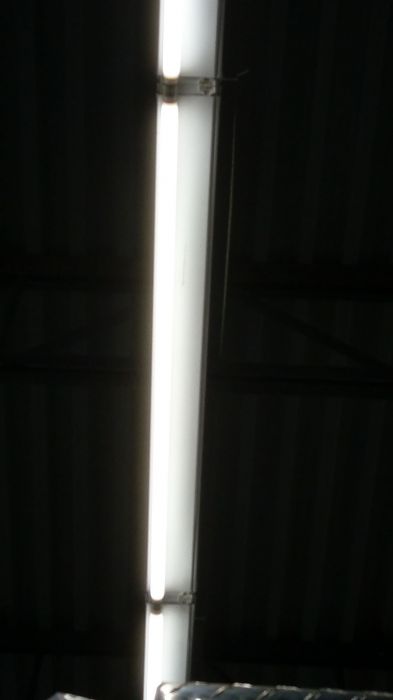 Tractor Supply Co. has gone to LED, with a fixture modification?
Any thing wrong here? Make your comment now.
Keywords: Lit_Lighting