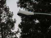 Filename=IMG_0030.JPG
Filesize=684KiB
Dimensions=2999x2250
Date added=Dec 26, 2018 IMG_0030.JPG