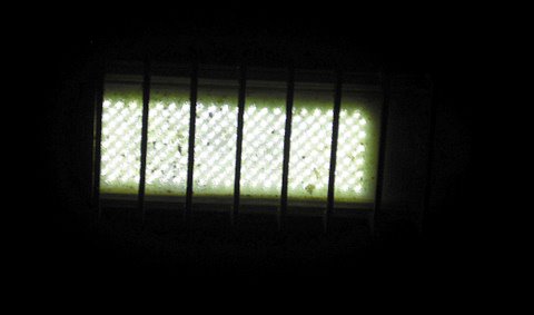 LED test light
23w LED test light to replace 50w HPS
Keywords: Lit_Lighting