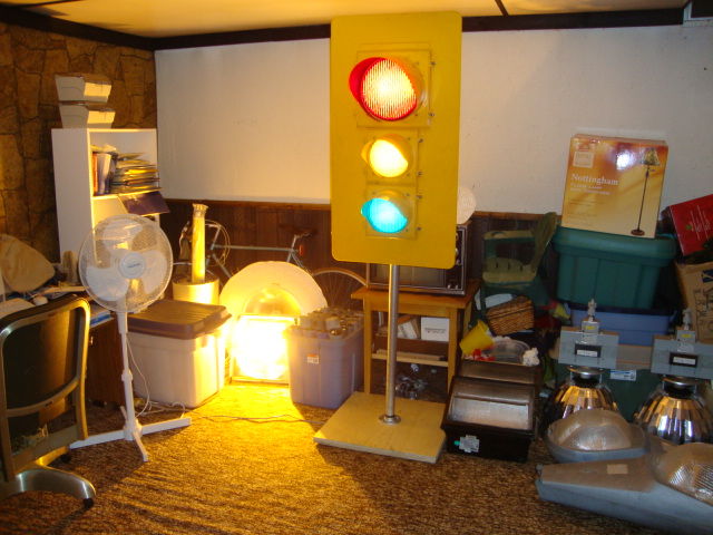 My Collection Part One
I figured since I changed my collection around again I would take a better picture, turns out though I couldn't fit it all into one shot, so I took three. This shows by signal, wallpacks, highbays and basement area light.
Keywords: American_Streetlights