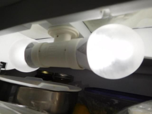 LED Appliance Bulbs
Inside my mother's refrigerator.
Keywords: Lamps