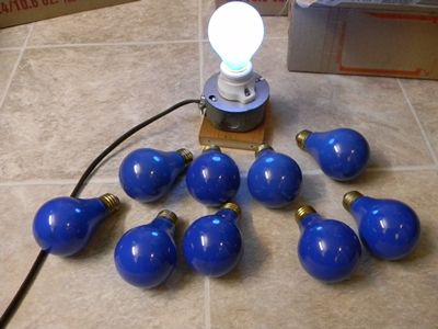 Vintage GE & Westy 40 Watt Ceramic Coated Blue Bulbs
A lucky yard sale find in 2011, the guy that had the sale had a big bucket of these 40 watt blues for a  dime a piece and I gave him a buck for 10 of them! He also had old cloth covered light strings that had the inline screw cap sockets with the insulation piercing pins (made by Paulding) for another couple bucks more. I removed about a dozen of those sockets from the wiring since the wire was very brittle but most of the sockets were in good condition and discarded the old wires. And all the bulbs work :-) the Westy bulbs have the older 'W' logo (pre May 1960) instead of the ' dot W' (modern logo).
Keywords: Lamps