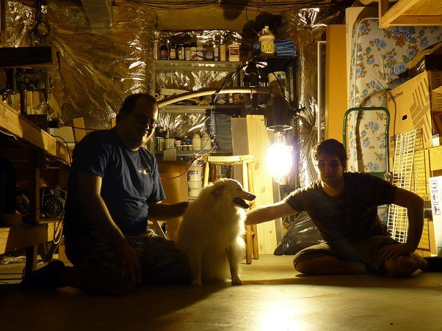 Me, Zoey, the Fusion Reactor, and Jason.
We lit up that 1500w MH lamp. It's bright VERY BRIGHT!. Zoey is the dog and Jace's supervisor/babysitter. :P
Keywords: Indoor_Fixtures