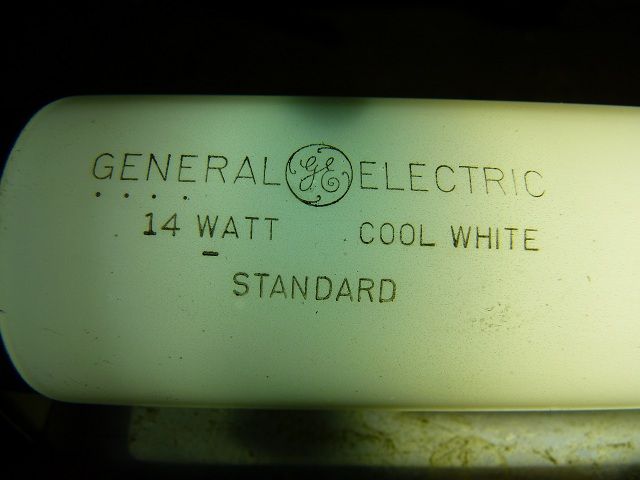 GE Standard F14T12
1950s! This lamp was on a Fler-O-Ray fixture with a glass lens covering kinda like a half-piper. It have been under a shelf in the basement unaffected except an occasional paint splatter and the EARTHQUAKE we had in August for 60 YEARS! Then last night some morons that were working on getting the dryer vent installed in the basement smashed the glass lens to pieces. Then for some moronic idea the guy decided to throw out the tube in a half empty dumpster!

I have decided to find the tube and any of the lens if any left. Found the tube intact and working as you see here. Found one piece of the lens and couldn't find any more. I decided that I have HAD it with these morons and decided to remove the fixture and stash it in my lab. The lamp and starter that is. The fixture went to Jace.
