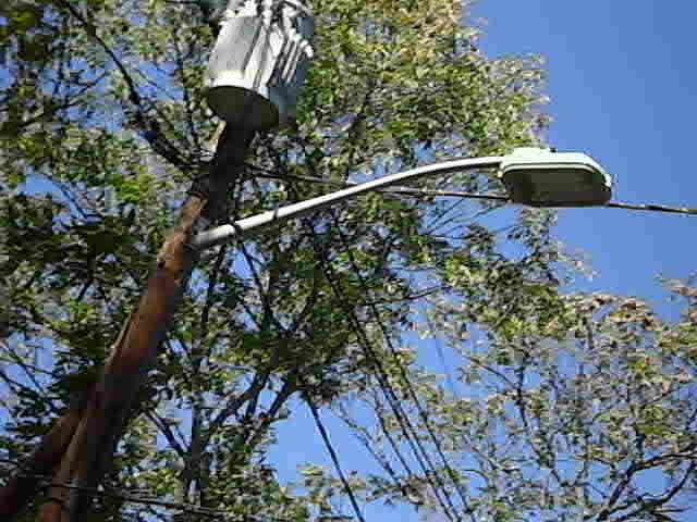Induction Icetron Streetlight 2
This streetlight is in use in New Jersey, down by the Delaware. This is an Induction Icetron fixture. This picture was taken from a moving car
Keywords: American_Streetlights