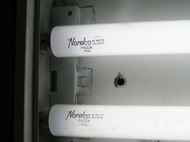 Norelco Duo
Date? If it helps I have an individual pic of each tube pictured.  Top tube has modern Philips/Sylvania endcaps and the bottom one has early-80s Norelco endcaps.  The bottom Norelco seems more italicized as well.  I always thought the Norelco etches looked goofy LOL...
Keywords: Lit_Lighting