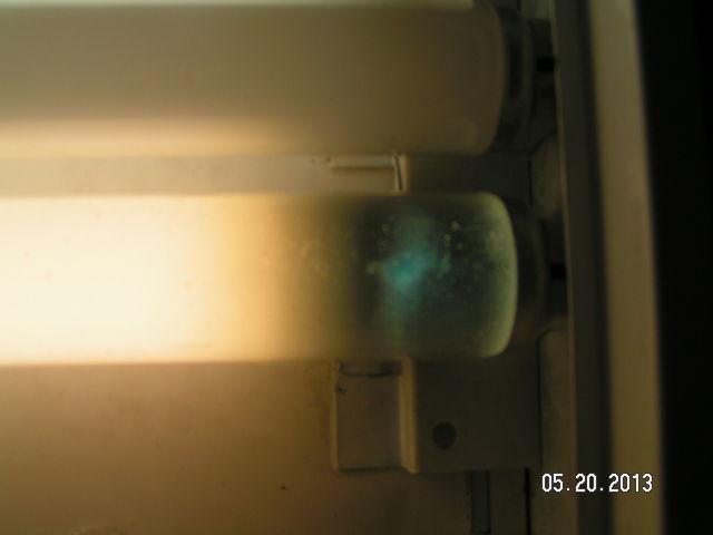WOW!
Near-EOL warm white Mainlighter found in the trash...you can see the mercury discharge!
Keywords: Lit_Lighting