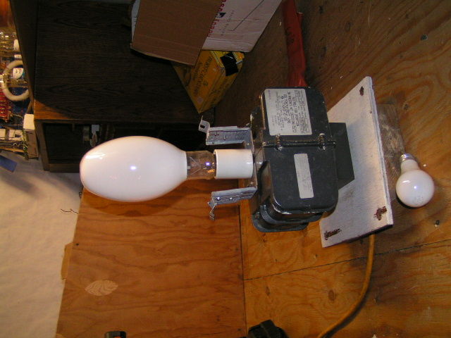 "Whoa Dude! That's a Huge Lightbulb!
That's what my friend's would probably say...
Keywords: Indoor_Fixtures