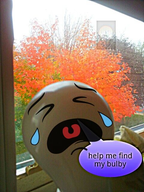 help find bulby
Please take some time to help bulb find his bulby
Keywords: Miscellaneous