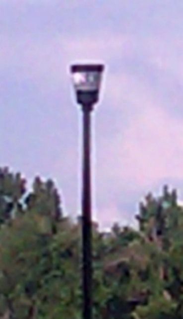 StreetLight #204
Streetlight in a park. (taken bac in June)
..I know not a real good/clear pic (only had a phone on me, not t a digital camera where I woulda had a zoom .. couldn't get close enough for a good pic due to the park being flooded)
Sometime I might go back & do a re-shoot..

Location:
Littleton CO 
Keywords: American_Streetlights