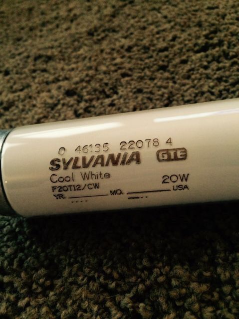 Sylvania GTE f20 lamp
I found this at hab yesterday (more pics coming later.) 
I have a nos one of these, with the same datecode, found at the same hab but months earlier. This one has had use, but looks to have much life left. This one and the nos one (which was slid into an empty GE sleeve) are of the same date code. I also found a rare ish 70s or 80s 32w t10 circline named ring of lite made by Abco. 
Keywords: Lamps