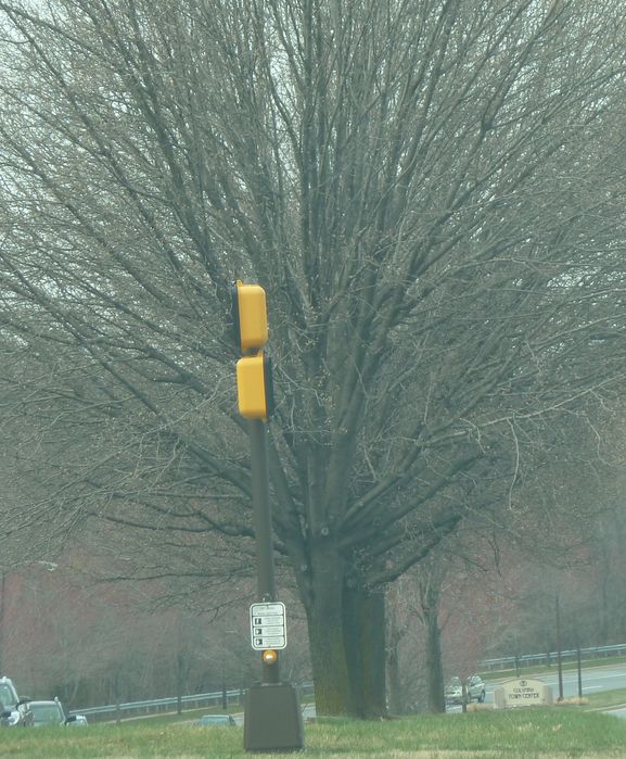 Stacked crosswalks on median!
Found near Columbia Mall in Howard County! 
Keywords: Traffic_Lights