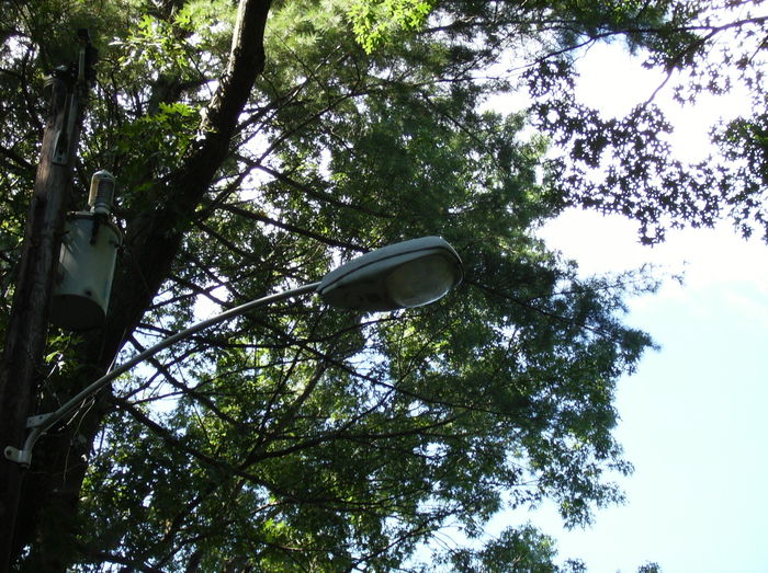 Crouse-Hinds OVS
An OVS located on the Holyoke/Southampton line in MA. Holyoke used these lights for a few years during the early to mid 90's before swtching back to GE.
Keywords: American_Streetlights
