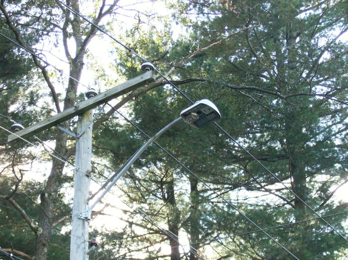 LRL SAT-24S
Here is the 44 watt SAT-24S LED light that replaced the 70 watt HPS 115 last month located on my fathers street in Easthampton, MA.

[url=http://www.galleryoflights.org/mb/gallery/displayimage.php?pos=-7911/] Here is the original light [/url]
Keywords: American_Streetlights