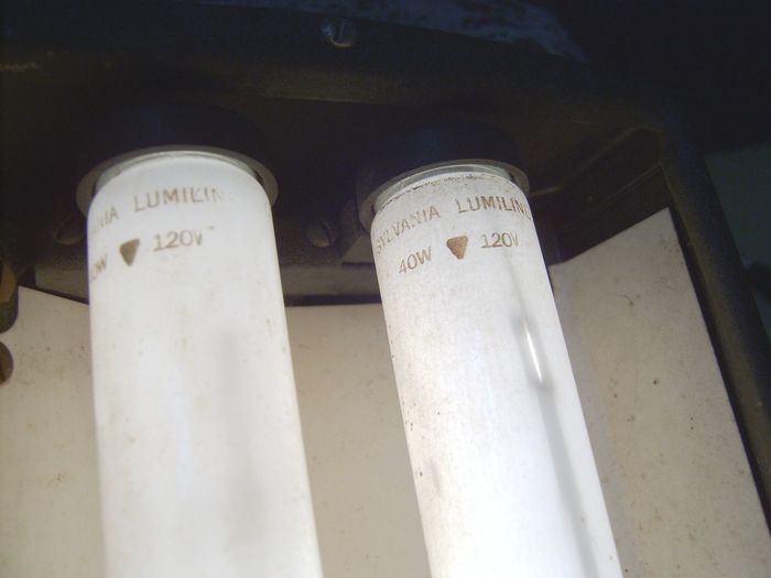40W Lumiline lamps lit
Here's the Dazor with the incandescent Lumilines lit
Keywords: Lamps