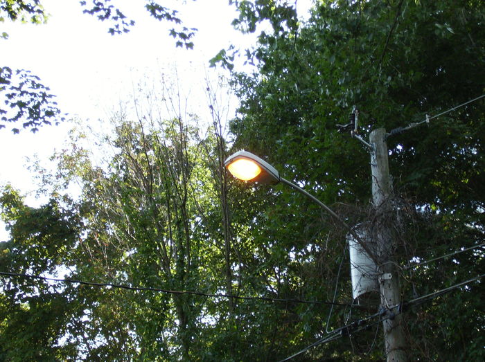 M-250A2 Dayburner
A Light on a side street dayburning away here in Holyoke
Keywords: American_Streetlights