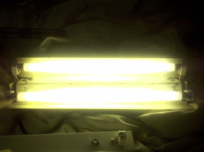 My old homemade F8T5 shoplight in action!
Some of you may remember me uploading a pic of my old high school project, a little shop light using two F8T5 fluorescent lamps. Currently I have two NOS US made Sylvania F8T5/CW lamps from the early 80s for the pic.
Keywords: Indoor_Fixtures