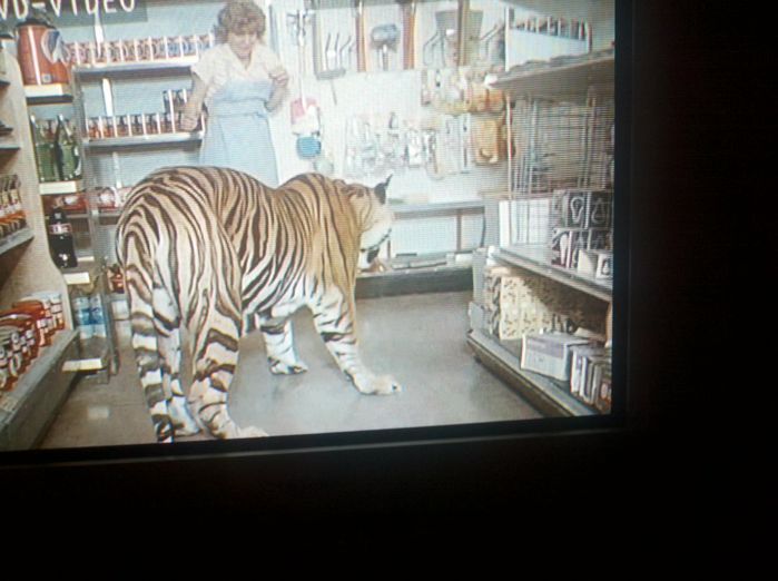 Light bulb aisle from 1978 scene!
This was taken while I was watching an espiode of CHiPs from 1978 (Volunteers is the espiode name). In this scene you can see the escaped tiger frightening the woman whos a co owner of the store. Best of all see the bulbs on the right? Mix of GE and Sylvania in the era of Q-coat GE soft whites, blue dot Sylvanias, and ceramic yellow GE Bug Lites.
Keywords: Lighting_History