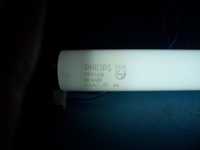 Philips F20T12/D
One of my two daylight fluorescent found in the dump one year ago (WOW already one year?, now that I think of it). Despite the fact that they're Philips, they perform very well! Bright and light up with no problem on rapid start. I have some issues with preheat though... I prefer those BIG TIME over the current ALTOs, which are complete trash. I have two F20T12/CW ALTOs, they won't light up at all on any trigger start ballast.

Made in Aug. '96, about a year after introduction of the very first ALTOs.
Keywords: Lit_Lighting