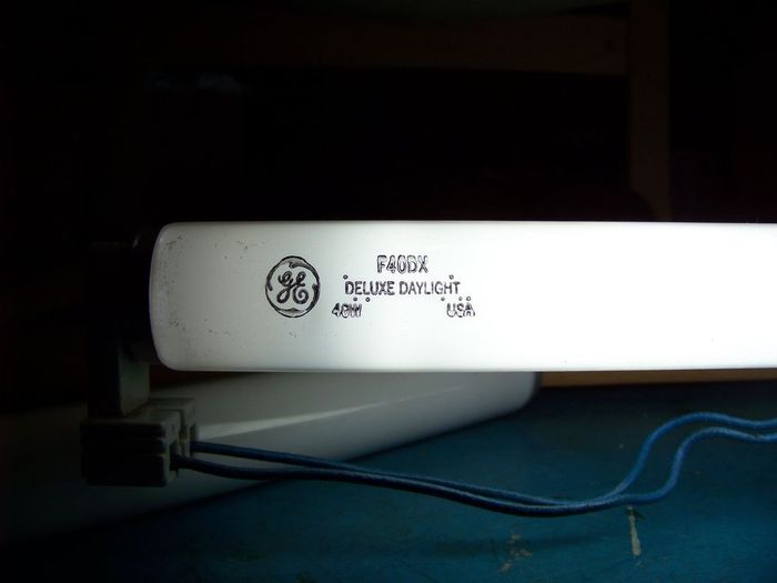 GE F40DX
Here's a pretty early Daylight Deluxe fluorescent. If I'm right, /DX color has been introduced in the mid 90s.

This one is close to NOS condition, it only has very slight blackening. I think this tube has no more than 100 hours of use.
