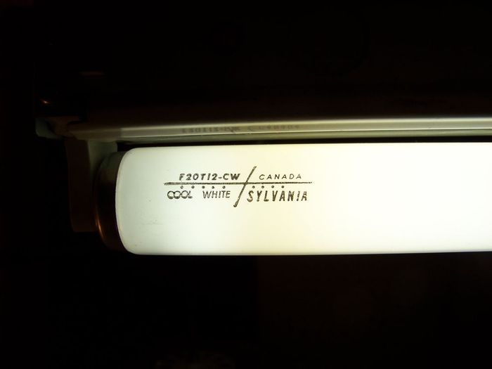 Sylvania F20T12/CW
I have several other copies of that fluorescent. I installed one to light a part of my shelves.

I'm not 100% sure, but this tube may have been made in august '72.
Keywords: Lit_Lighting