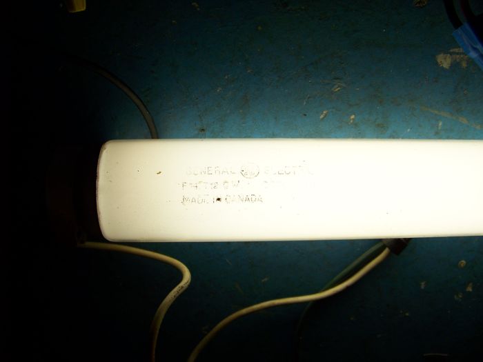 Early 60s GE F14T12/CW
The etch is pretty hard to read, but the tube is otherwise in near NOS condition.
Keywords: Lamps