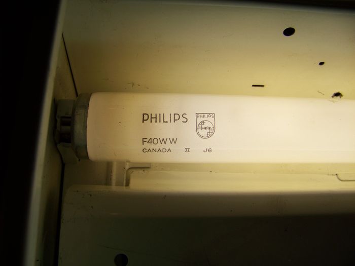 Philips F40WW, my first one!
I was glad to get my hand on one of those! Not NOS but still has moderately low hours. Plus it's been made at Trois-Rivires, QC! It had the modern Philips caps and by 1986 the bold Philips logo was dropped, but still had the big shield logo.
Keywords: Lamps