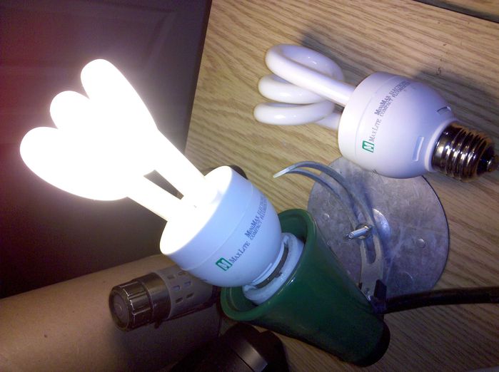 Two cool shaped Maxlite CFL lamps! 
They have a lot more even coating than the junky spirals also! 
Keywords: Lamps