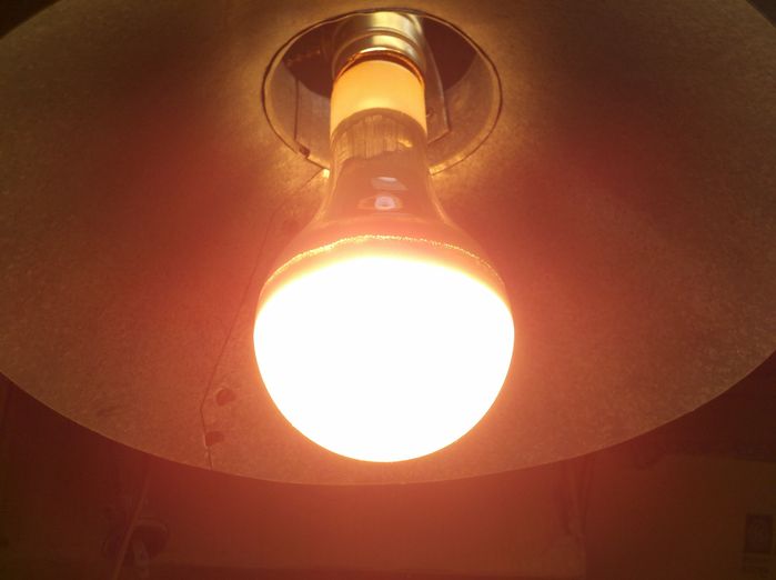 150w 130v silver neck bulb lit up
Here it is lit.
Keywords: Lamps