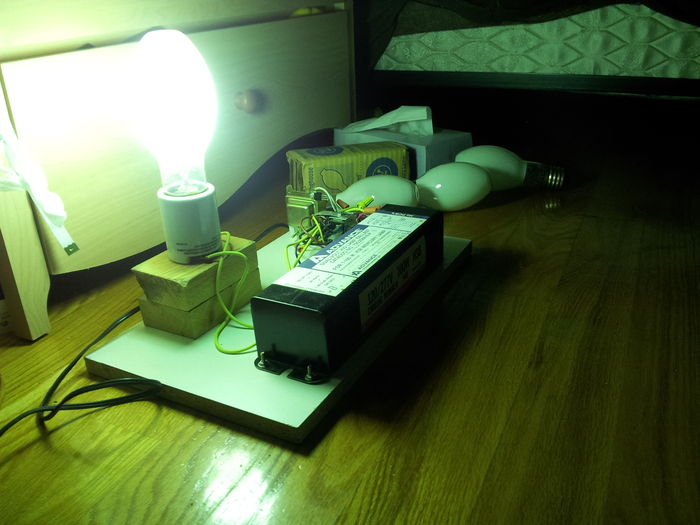 All my ballasts Advance FCan ballasts in its home, a 100W mercury