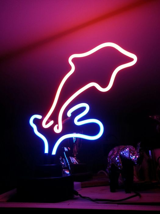 cold cathode dolphin
$5 garage sale find, my sister likes dolphins and I like neon so I got it for her..lol
Keywords: Lit_Lighting