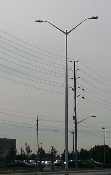 OVF
OVX's are being turned down now for OVF's when it comes to new median aluminum poles. All 2013/2014 aluminum pole installs have been OVF's instead of OVX's. 
Keywords: American_Streetlights