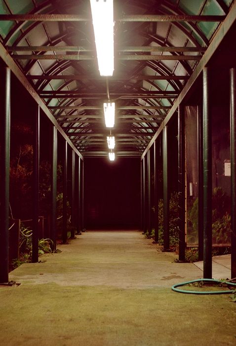 Weatherproof 8ft HO Fluorescents
Walkway to Alley Pond Environmental Center
