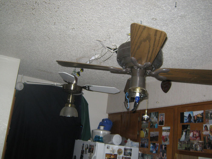my ceiling fan collection 1
kitchen
Keywords: Miscellaneous