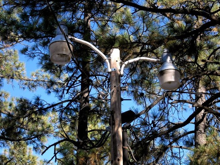 LPS/SOX Bucket Lights
At Hemet Lake campground near restroom bldg
Keywords: American_Streetlights