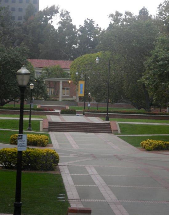 Teardrop Lights
On campus at UCLA. They are HPS, I saw them lit.
Keywords: American_Streetlights