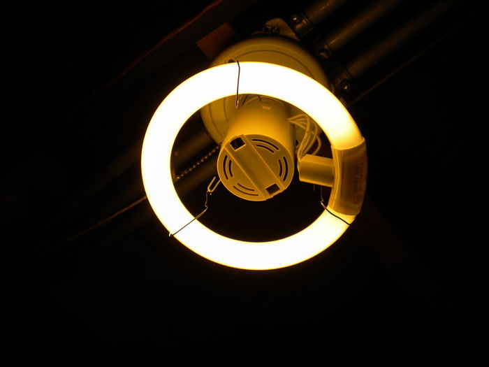 Circline Compact Fluorescent Light Bulb
Keywords: Lamps