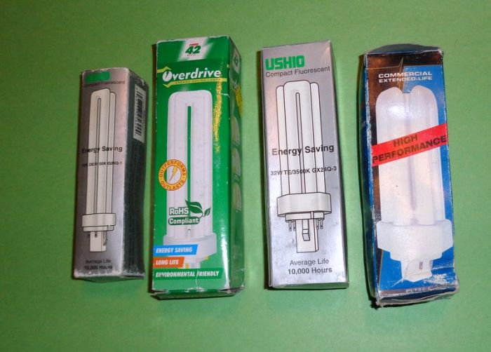 Thrift Store Finds
Assortment of CFLs I got for 25 cents each
Keywords: Lamps