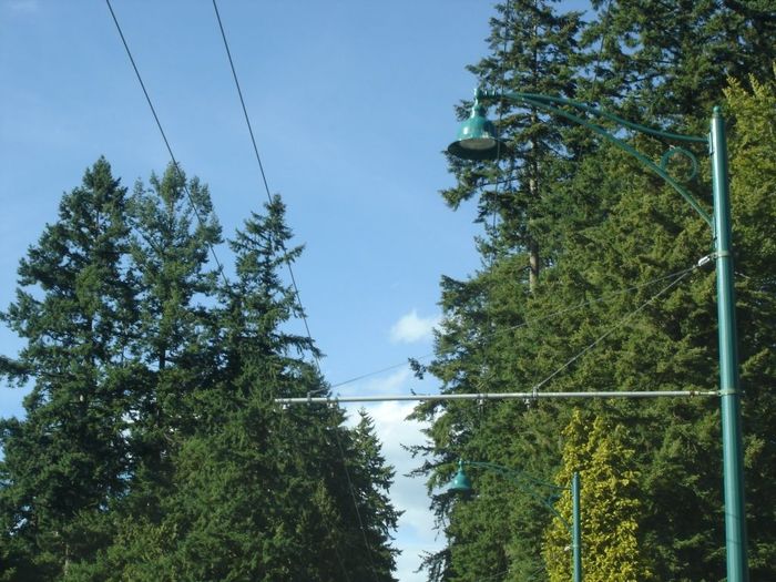 Bell Shaped Fixtures
Here's a pic of the bell shaped 100W metal halide fixtures installed in Stanley Park.
Keywords: American_Streetlights